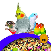 غذا و تشویقی پرندگان