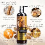 شامپو آرگان لایتنس فاقد سولفات argan oil