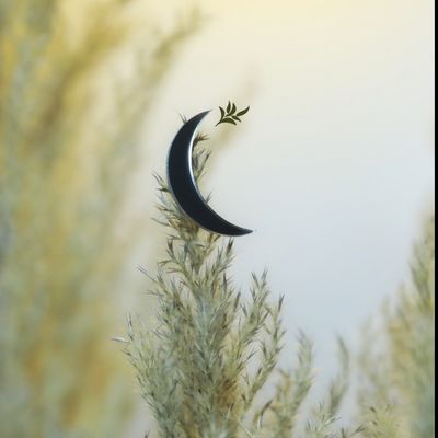 برچسب آیینه‌ای ماه