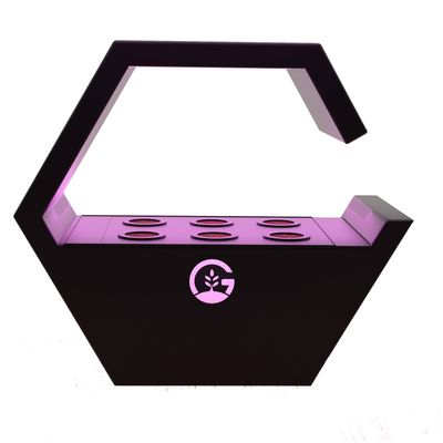 گلدان هوشمند