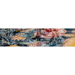 شستوشوی فرش های ماشینی