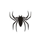 برچسب بدنه خودرو لیزارد مدل فانتزی طرح spider کد LZD-793