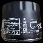 فیلتر روغن خودرو کاسپین مدل FW-815 مناسب برای سمند