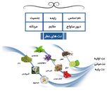 عطر جیبی مردانه یاغیش مدل CK04 حجم 24 میلی لیتر مجموعه 4 عددی 