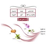 عطر جیبی یاغیش مدل CK08 حجم 24 میلی لیتر مجموعه 4 عددی