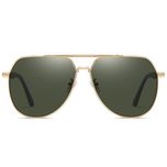 عینک آفتابی مردانه آلبرت وگ مدل JS8553C02P243 Polarized Avantgarde Visionary