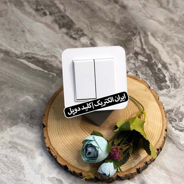 کلید دو پل ایران الکتریک مدل ارس بسته دو عددی
