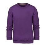 سویشرت مردانه مدل SB-SS-3646-D4