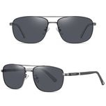 عینک آفتابی مردانه آلبرت وگ مدل 6313C85-P101 Polarized Avantgarde Visionary