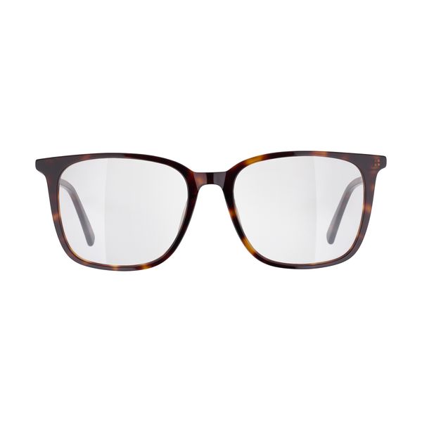 فریم عینک طبی مدل RGA105C3 Leopard Pattern