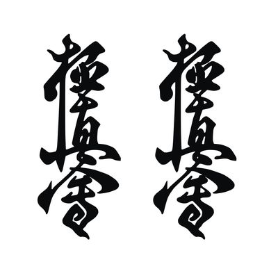 برچسب بدنه خودرو لیزارد مدل فانتزی طرح کیوکوشین  کد LZD--711 بسته دو عددی*944