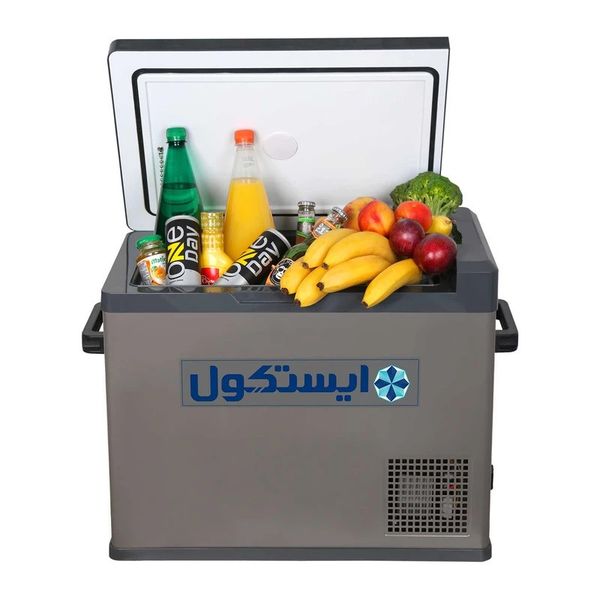 یخچال خودرو