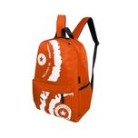 کوله پشتی مدل MDSS-CG4918*737