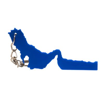 خلیج فارس و تنگه هرمز