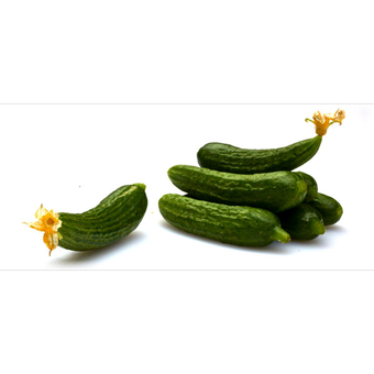 خیار خیارشوری درجه یک مقدار 1 کیلوگرم