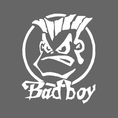 برچسب بدنه خودرو شیپرس طرح Bad Boy کد SB505S