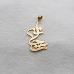 آویز گردنبند طلا 18 عیار زنانه سهی مدل ریحانه کد SNA39
