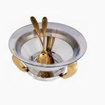 سالادخوری ام جی اس مدل 3109