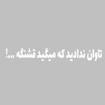 برچسب شیشه خودرو صفا طرح تاوان ندادید که میگید قشنگه