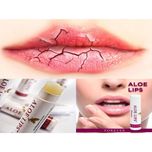 بالم لب فوراور لیوینگ پروداکتس مدل آلوئه ورا