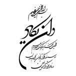 برچسب بدنه خودرو طرح نوین گراف مدل وان یکاد کد vn10