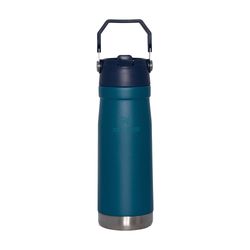ماگ سفری استنلی مدل نی دار کد 300794 گنجایش 0.65 لیتر