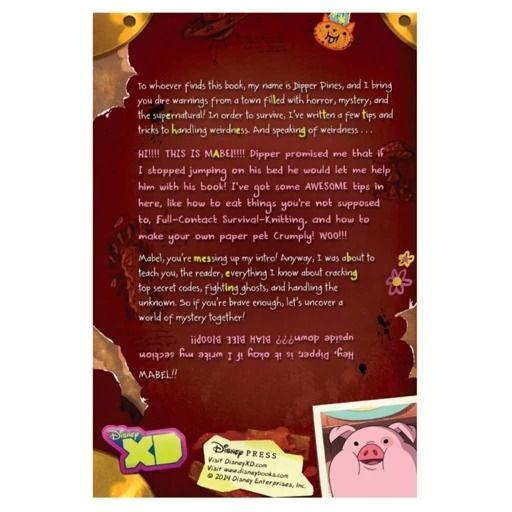 دفتر خاطرات دیپر و میبل Gravity Falls