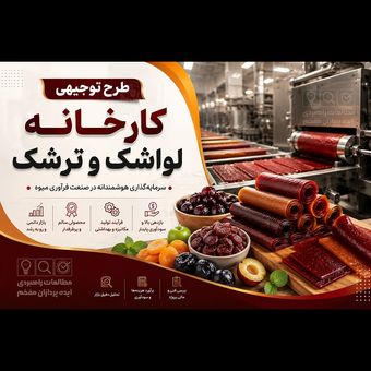 طرح توجیهی کارخانه تولید لواشک و ترشک