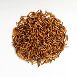 کرم میلورم مخصوص طوطی سانان وزن 1000 گرم