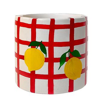 جامدادی رومیزی طرح لیمو04