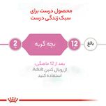 غذای خشک گربه رویال کنین مدل بالغ عقیم شده وزن 2 کیلوگرم