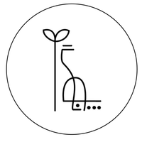 استودیو پونگ