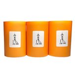   کاغذ پرینتر حرارتی پایتخت رول مدل Or80mm بسته 30 عددی