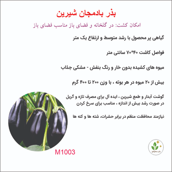 بذر بادمجان شیرین توگال 1003