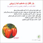 بذر فلفل دلمه ای بوبار 1007