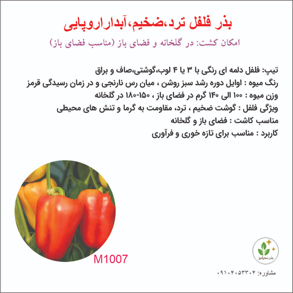 بذر فلفل دلمه ای بوبار 1007