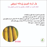 بذر ذرت شیرین ایریاک 1008