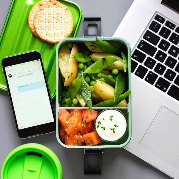 ظرف سفری سیگ مدل Metal Box Plus L کد F2022