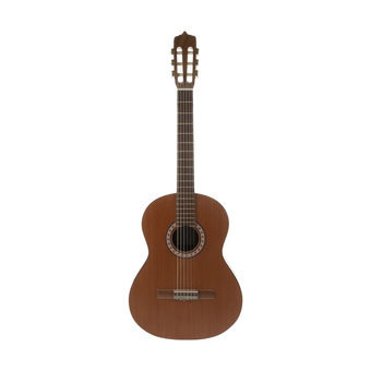 گیتار m6