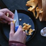 چاقو سفری پریموس مدل Field Chef Pocket