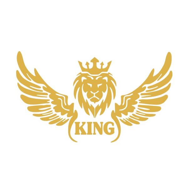 برچسب بدنه خودرو مدل شیر بال کد NG1