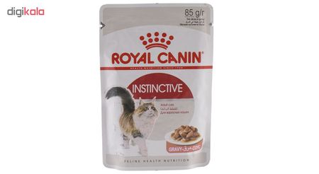 غذای پوچ گربه رویال کنین مدل INSTINCTIVE GRAVY وزن 85 گرم