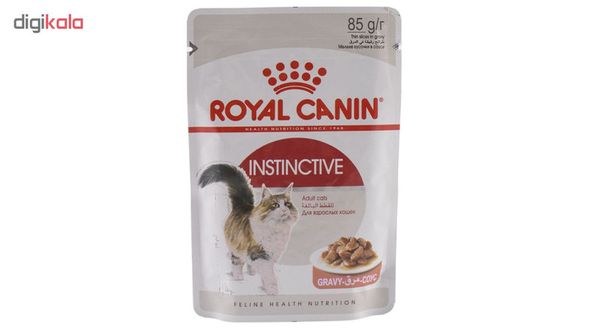 غذای پوچ گربه رویال کنین مدل INSTINCTIVE GRAVY وزن 85 گرم