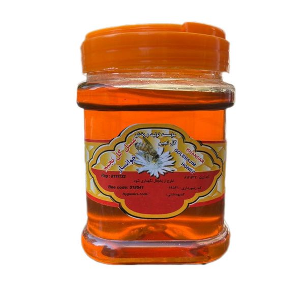 عسل گل نجیم خوانسار - 850 گرم 6 عددی