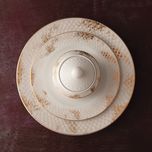 سرویس غذاخوری 102 پارچه چینی زرین ایران سری رادیانس مدل کلودیا درجه یک