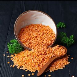 محصول دال عدس