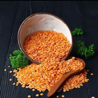 محصول دال عدس