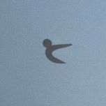 ست تاپ و شلوارک ورزشی زنانه مدل MDSS-CH3293