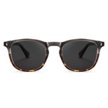 عینک آفتابی پنتوس (Pantos) آلبرت وگ مدل S31128C3 Acetate Avantgarde Visionary