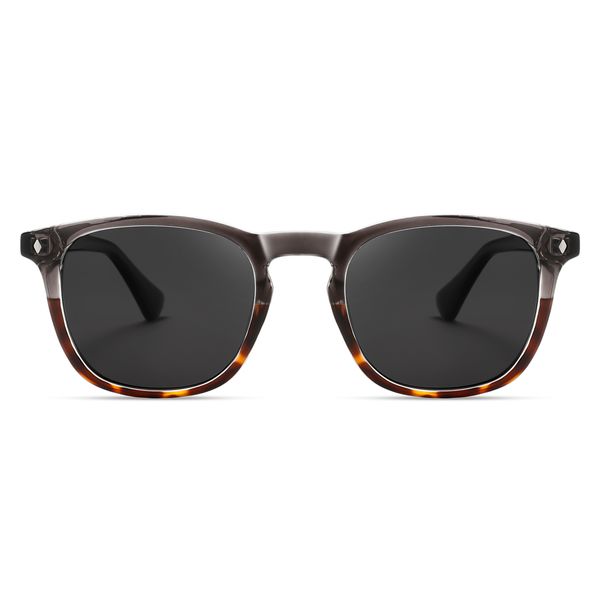 عینک آفتابی پنتوس (Pantos) آلبرت وگ مدل S31128C3 Acetate Avantgarde Visionary